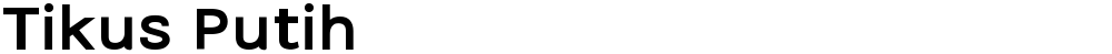 Tikus Putih
