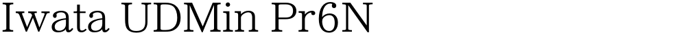 Iwata UDMin Pr6N