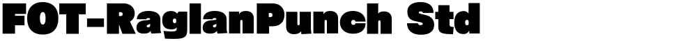 FOT-RaglanPunch Std