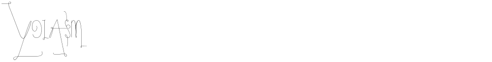 YolAsm