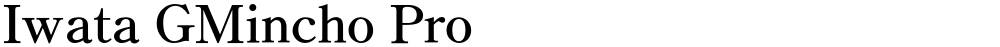 Iwata GMincho Pro