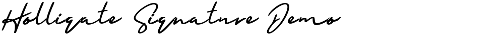 Holligate Signature Demo