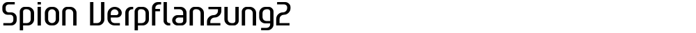 Spion Verpflanzung2
