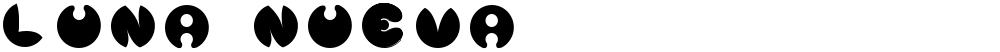 Luna Nueva