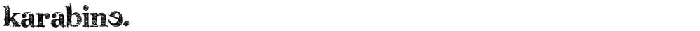 karabinE.