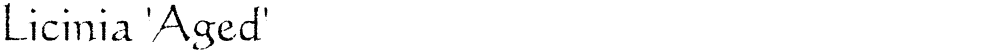 Licinia 'Aged'