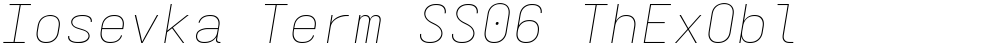 Iosevka Term SS06 ThExObl