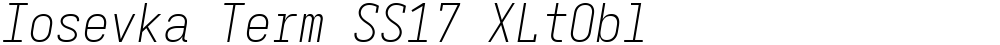 Iosevka Term SS17 XLtObl