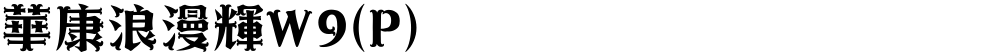 華康浪漫輝W9(P)