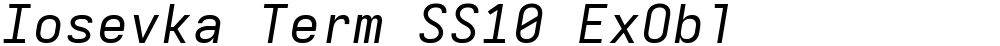 Iosevka Term SS10 ExObl