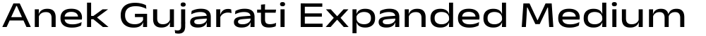 Anek Gujarati Expanded Medium