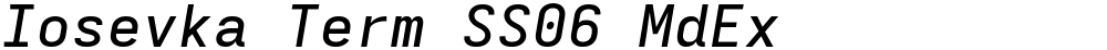Iosevka Term SS06 MdEx