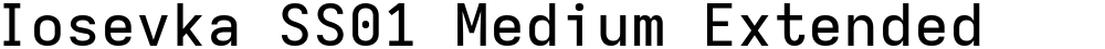 Iosevka SS01 Medium Extended