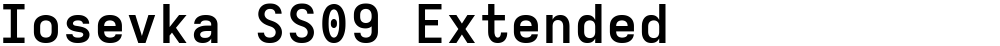 Iosevka SS09 Extended