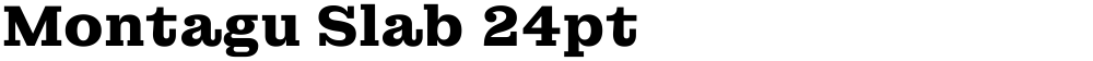 Montagu Slab 24pt