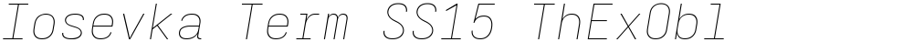 Iosevka Term SS15 ThExObl