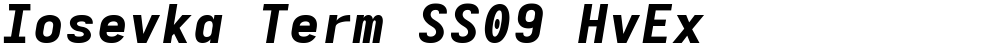 Iosevka Term SS09 HvEx