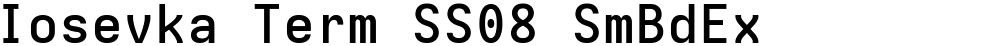 Iosevka Term SS08 SmBdEx