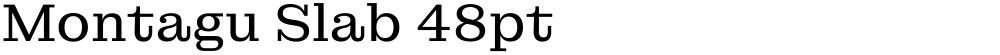 Montagu Slab 48pt