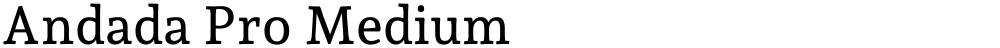 Andada Pro Medium