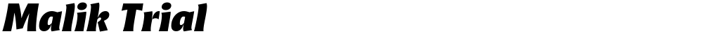 Malik Trial
