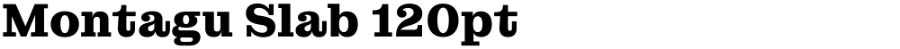 Montagu Slab 120pt