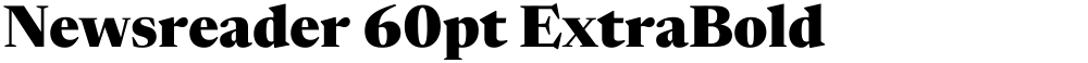 Newsreader 60pt ExtraBold