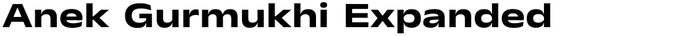 Anek Gurmukhi Expanded