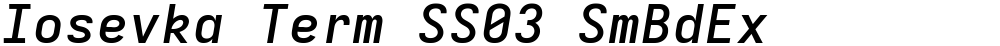 Iosevka Term SS03 SmBdEx