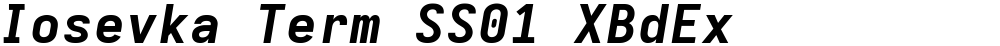 Iosevka Term SS01 XBdEx