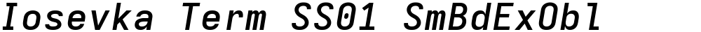 Iosevka Term SS01 SmBdExObl
