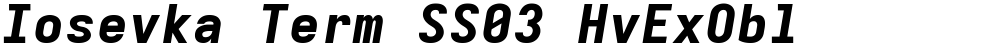 Iosevka Term SS03 HvExObl