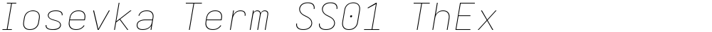 Iosevka Term SS01 ThEx