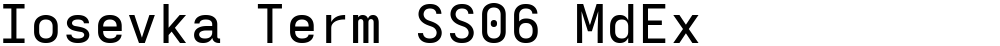 Iosevka Term SS06 MdEx