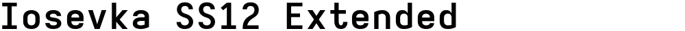 Iosevka SS12 Extended