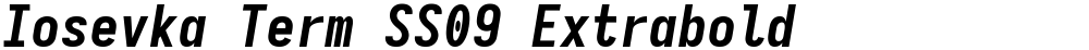 Iosevka Term SS09 Extrabold