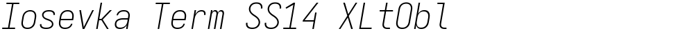 Iosevka Term SS14 XLtObl