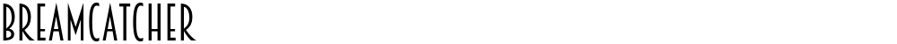 Breamcatcher