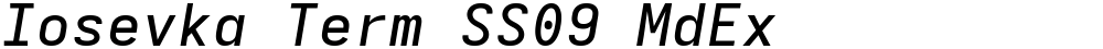 Iosevka Term SS09 MdEx