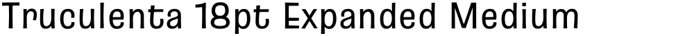 Truculenta 18pt Expanded Medium
