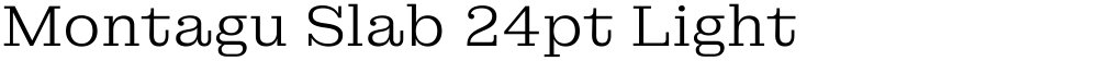 Montagu Slab 24pt Light