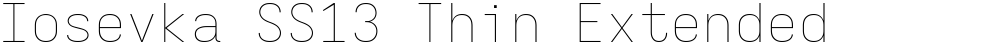 Iosevka SS13 Thin Extended