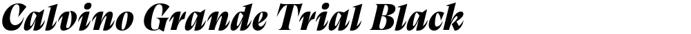 Calvino Grande Trial Black
