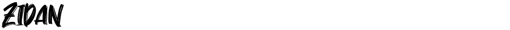 Zidan