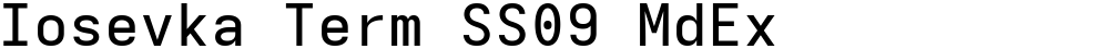 Iosevka Term SS09 MdEx