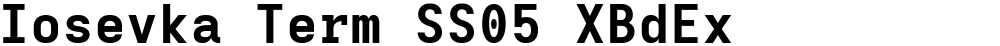 Iosevka Term SS05 XBdEx