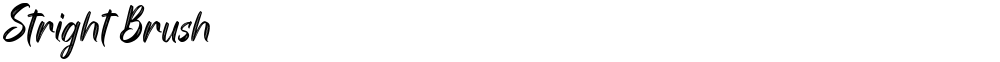 Stright Brush