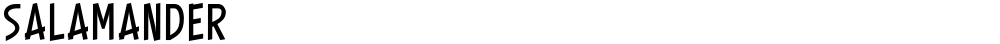 SALAMANDER