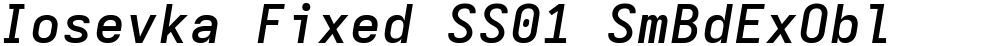 Iosevka Fixed SS01 SmBdExObl
