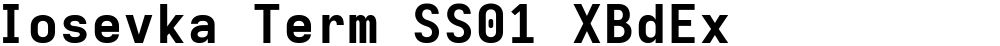 Iosevka Term SS01 XBdEx